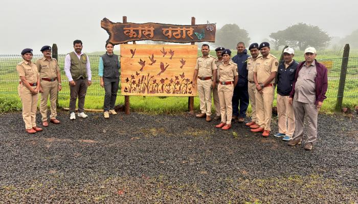 कास फुलोत्सव हंगामाला सुरुवात