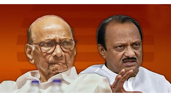 &hellip;मीच बारामतीकरांचा वाली : अजित पवार