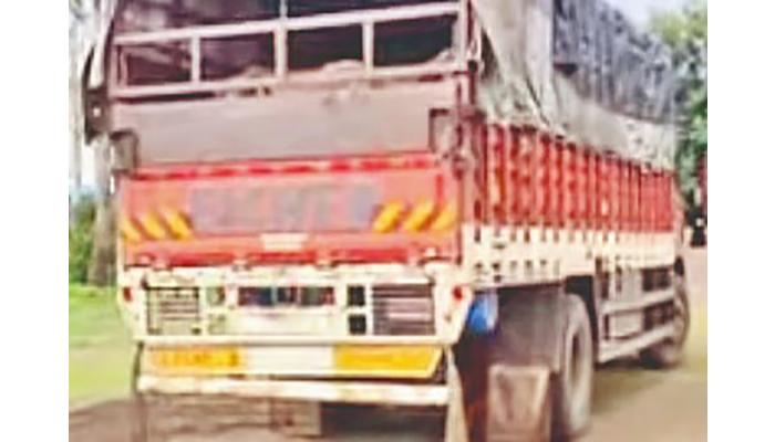 जनावरांची अवैध वाहतूक करणारा ट्रक पकडला